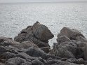 2017-09-30 14-28-29 Circuit Batz sur mer et Le Croisic MWi